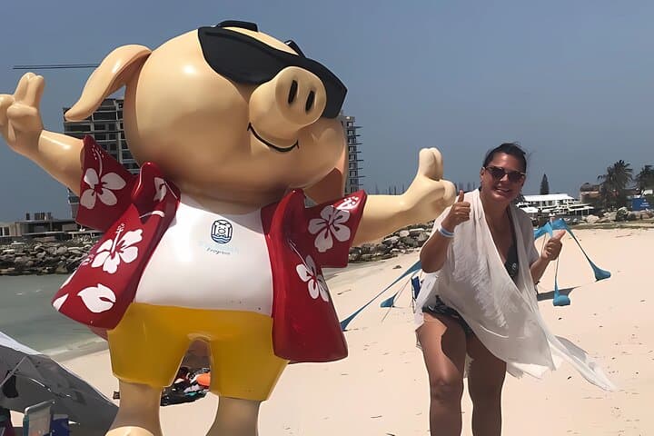 Yucalpetén Beach Tour from Mérida — Progreso Beach Club, Pig Beach & Sunset photo 3