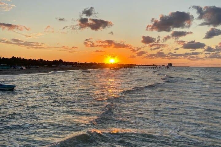 Yucalpetén Beach Tour from Mérida — Progreso Beach Club, Pig Beach & Sunset photo 4
