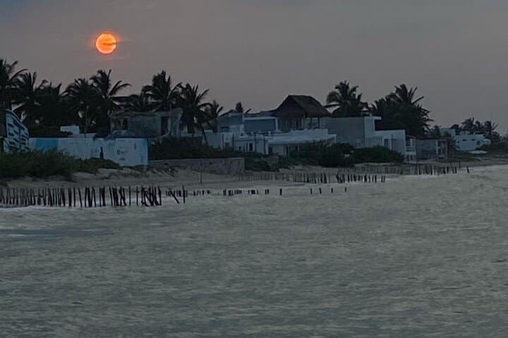 Yucalpetén Beach Tour from Mérida — Progreso Beach Club, Pig Beach & Sunset photo 5