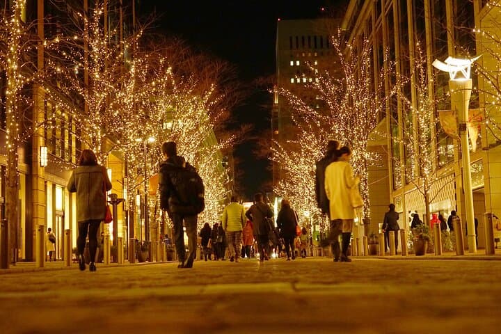 Nashville Holiday Harmony: Private Christmas Melody Tour in Music City photo 4