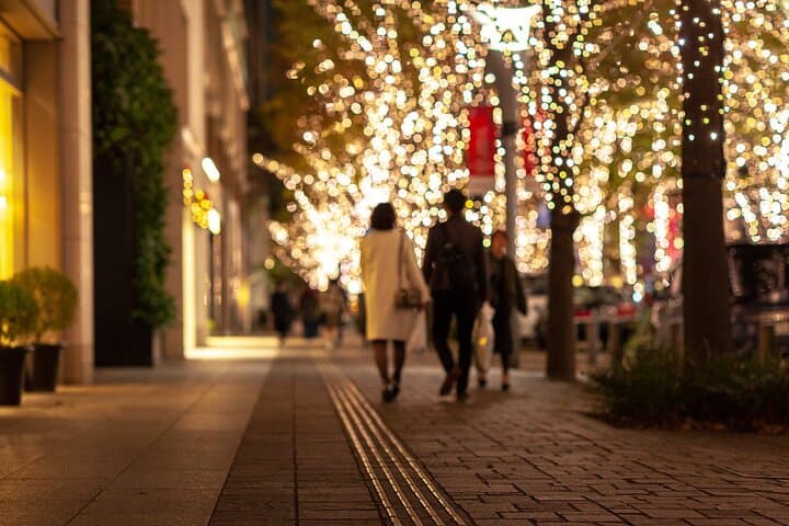 Nashville Holiday Harmony: Private Christmas Melody Tour in Music City photo 6