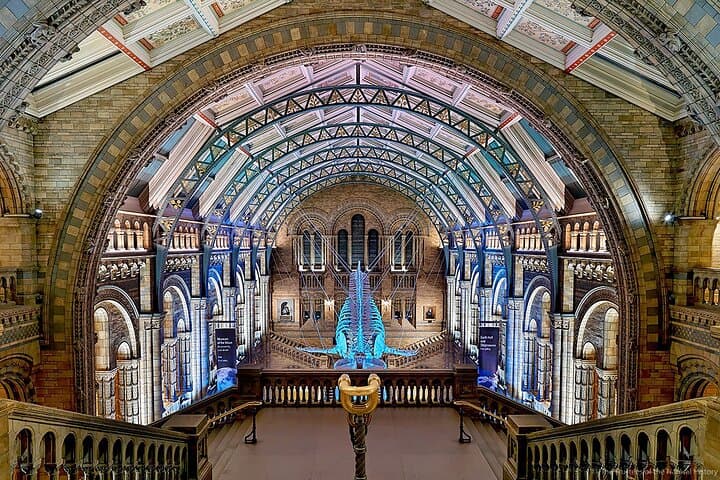 Inside London’s Natural History Museum — Diplodocus, Blue Whale & Evolution Gallery photo 3