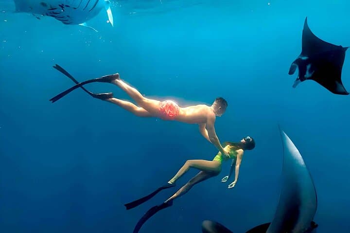 Nusa Penida Snorkeling and Uluwatu Sunset Tour — Manta Rays, Cliffs & Jimbaran Seafood