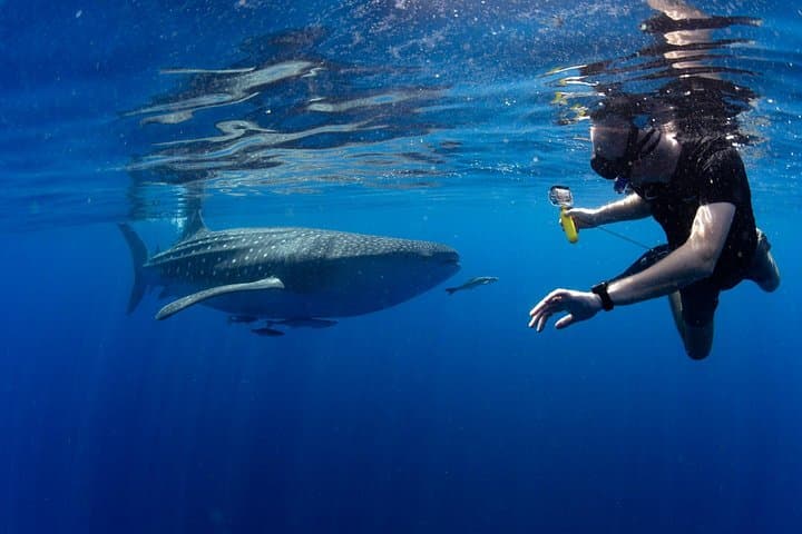 Snorkel Daymaniyat Islands from Muscat — Boat Trip with BBQ Lunch photo 3