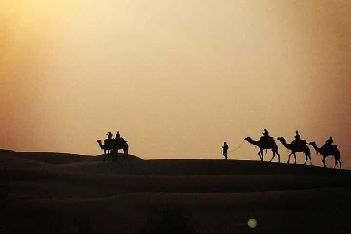 Jaisalmer Overnight Camel Safari: Dunes, Campfire & Stargazing photo 5