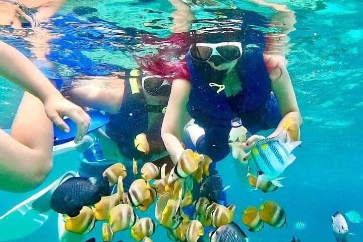 Blue Lagoon Snorkel & Monkey Bar Lunch: Private Boat Tour From Seminyak photo 3