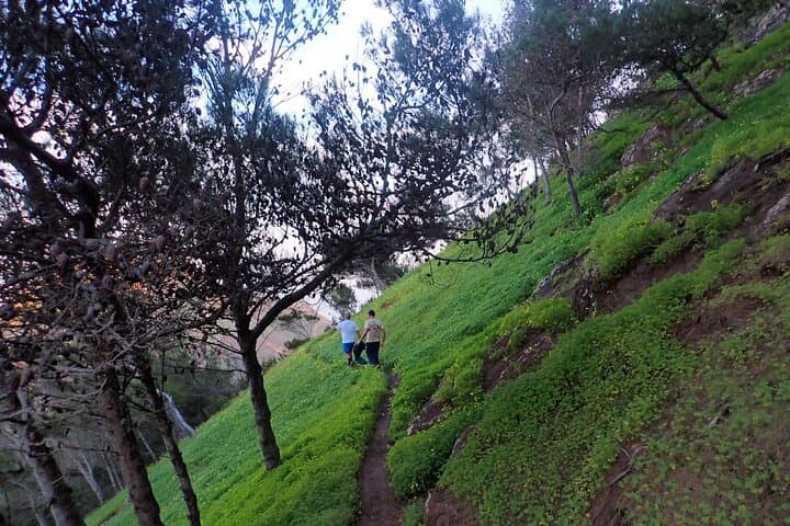 Pico do Facho Panoramic Trail: 360° Porto Santo Hike in 2 Hours photo 6