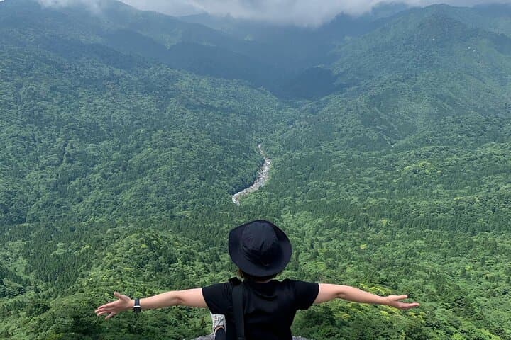 Shiratani Unsuikyo Day Walk to Taikoiwa: Yakushima's Ancient Forest in a Day photo 5