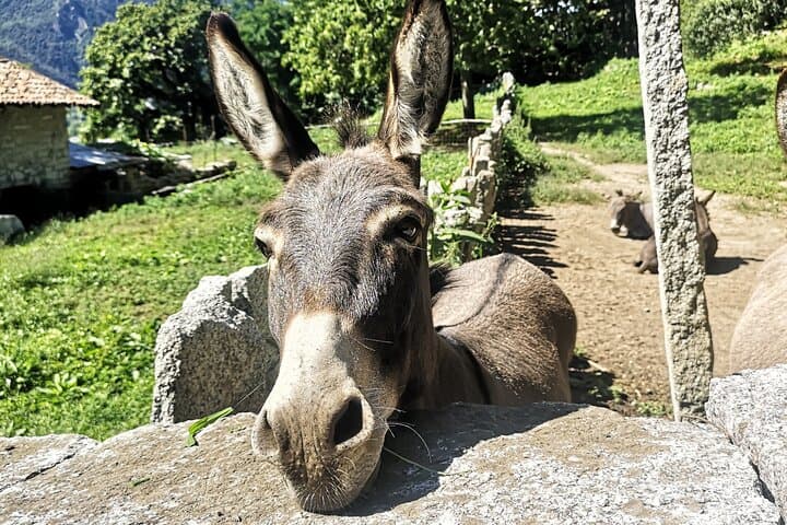 Sentiero Azzurro at Lake Mergozzo: Walk in the Footsteps of the Picasass photo 6