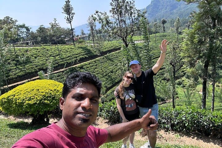 Private 10-Day Sri Lanka Tour — Sigiriya, Kandy, Ella & Mirissa Highlights photo 5