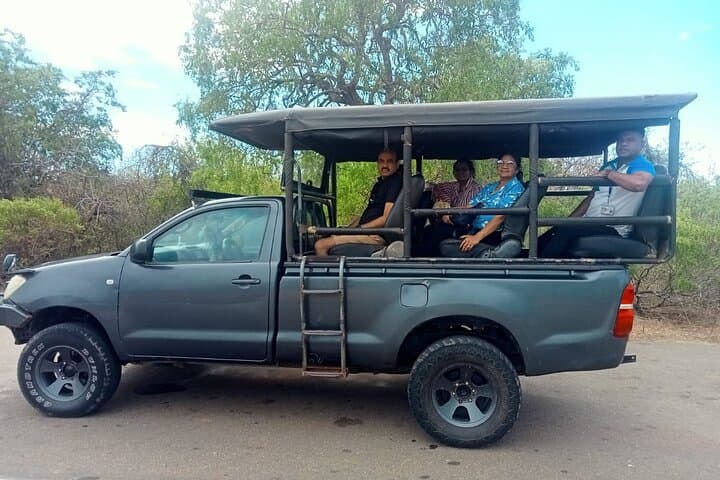 Full-Day Udawalawe Safari: Private Jeep Tour & Elephant Transit Home photo 1