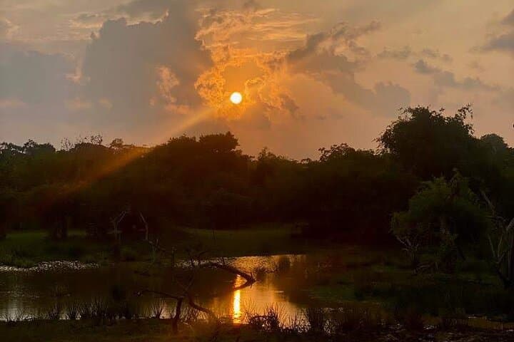 Full-Day Udawalawe Safari: Private Jeep Tour & Elephant Transit Home photo 3
