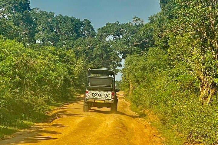 Full-Day Udawalawe Safari: Private Jeep Tour & Elephant Transit Home photo 4