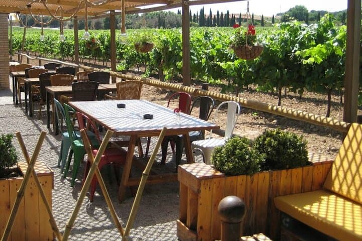Montserrat Monastery & Catalan Winery Day Tour from Barcelona photo 6