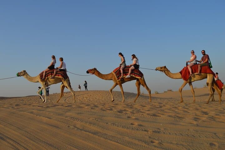 Sunset Dune Bash & Dinner Safari in Dubai Desert