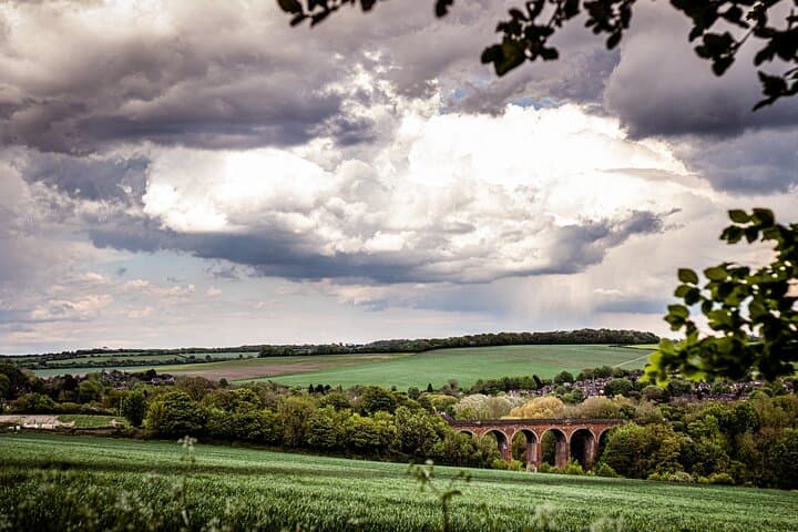 Eagle Heights Kent: Raptor Flying Displays Above the Darent Valley photo 2