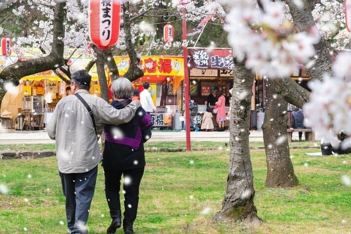Fukuoka Cherry Blossom Hanami Walk: Private Sakura Experience with Local Host