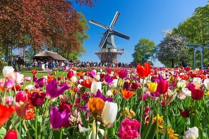 Keukenhof Shuttle from Amsterdam: Fast-Track Entry & Flexible Return