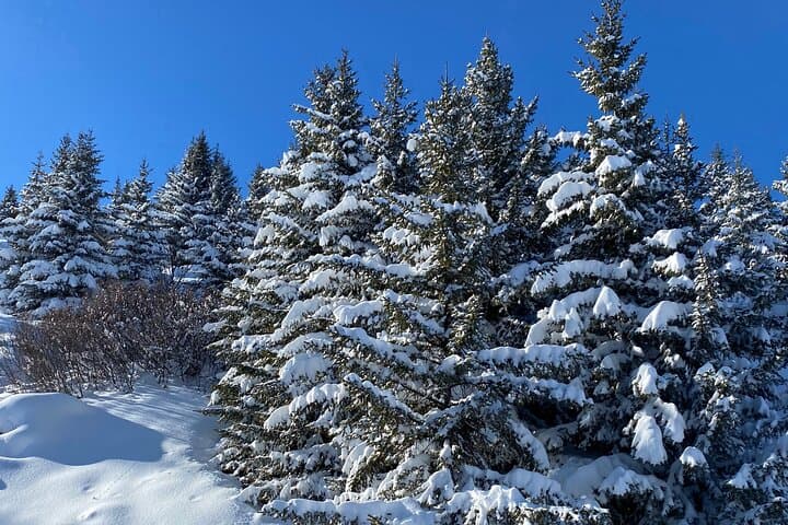Luxury Private Concierge Courchevel: Bespoke Winter Day Experience photo 6