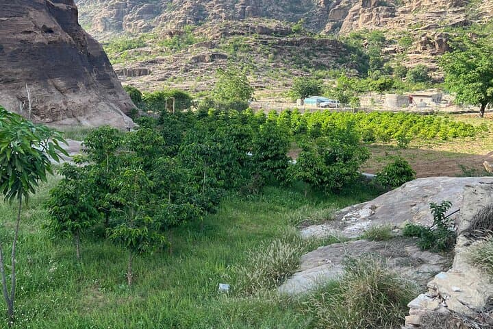 AlReeth Camping Trip — 2-Day Wadi Lajab, Coffee Farm & Jabal Al-Qahr Adventure photo 2