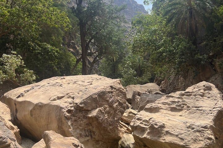 AlReeth Camping Trip — 2-Day Wadi Lajab, Coffee Farm & Jabal Al-Qahr Adventure photo 3