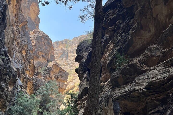 AlReeth Camping Trip — 2-Day Wadi Lajab, Coffee Farm & Jabal Al-Qahr Adventure photo 4