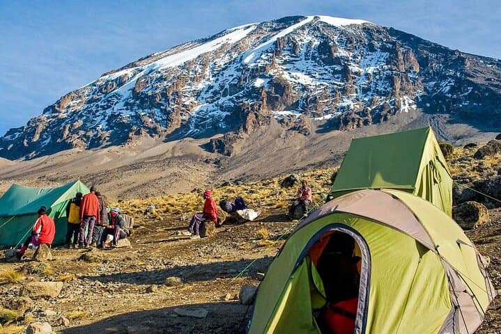 Full-Day Marangu Trek to Mandara Hut on Mount Kilimanjaro photo 4