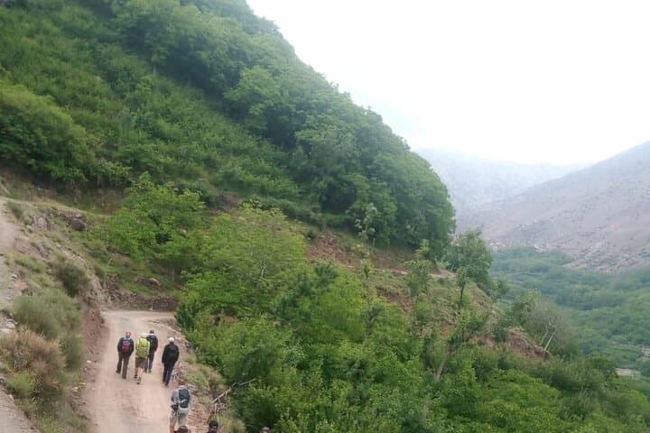 Full-Day Atlas Mountains Trek with Authentic Berber Lunch from Marrakech