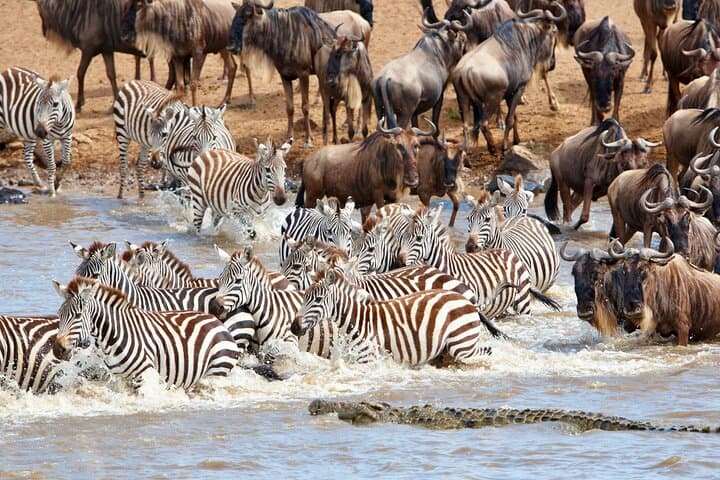 2-Day Tarangire & Ngorongoro Crater Safari — Group Joining Adventure from Arusha photo 4