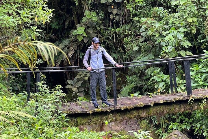 Iral Cloud Forest Day Pass: Trails, Wildlife & Lunch Near San José photo 4