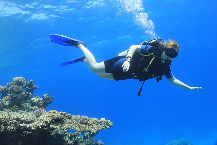PADI Open Water Course in Hurghada: 3-Day Red Sea Dive Certification photo 2