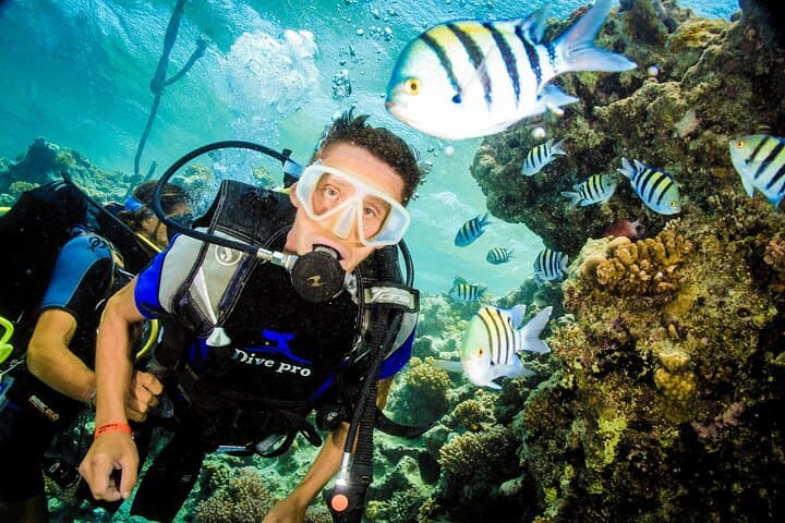 PADI Open Water Course in Hurghada: 3-Day Red Sea Dive Certification photo 3