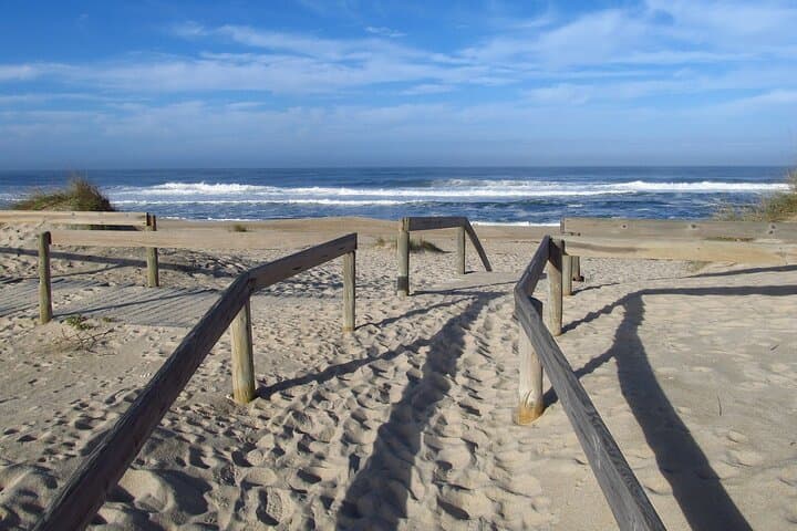 Porto to Aveiro & Vila Nova de Gaia: Private Day Trip with Moliceiro Rides and Port Wine Tasting photo 3