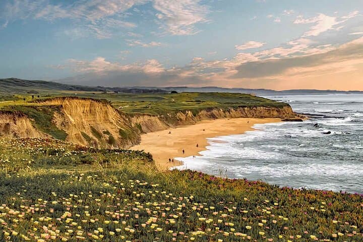 Half Moon Bay Coastal Delights: Private Driving Tour of Beaches & Marine Reserves