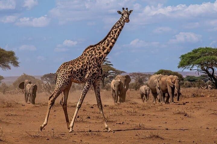Guided Hiking at Mt Longonot + Lake Naivasha Boat Ride — Full-Day Rift Valley Adventure photo 4