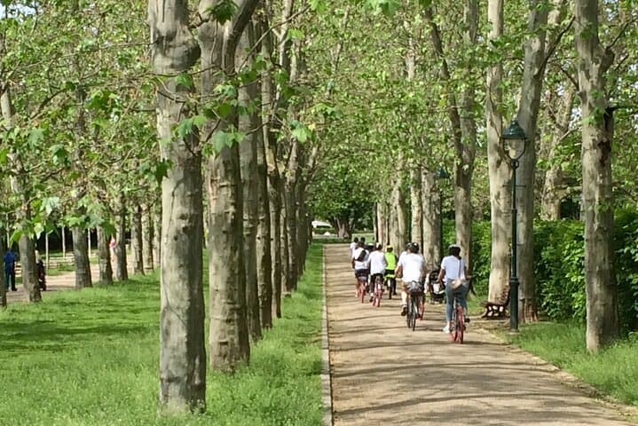 Exceptional Private Prague Bike Tour: Vltava River, Castle & Parks photo 6