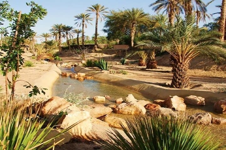 Ksar Ghilane Overnight: 2-Day Sahara Oasis Camp & Thermal Spring photo 3