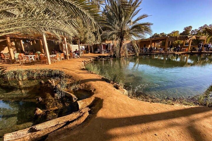Ksar Ghilane Overnight: 2-Day Sahara Oasis Camp & Thermal Spring