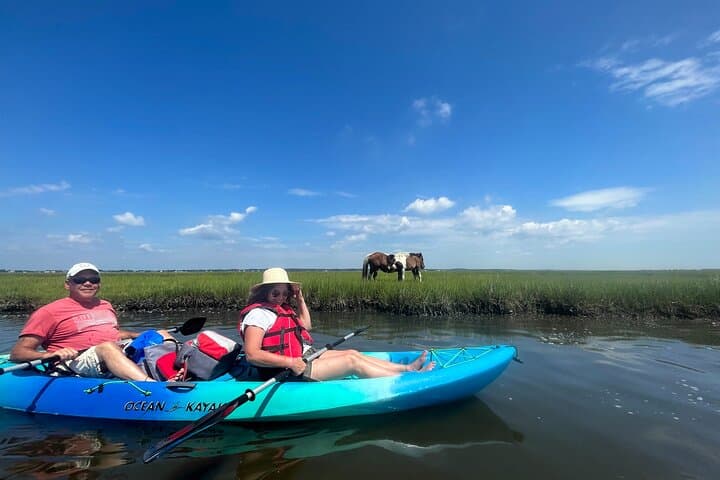 Paddle with Ponies: Guided Assateague Kayaking Wildlife Discovery