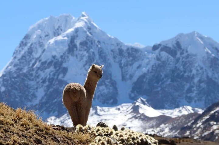Rainbow Mountain (Vinicunca) Full-Day Trek & Red Valley: Practical Guide photo 2