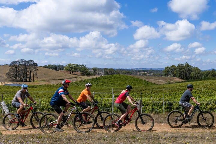 Self-Guided E‑Bike Winery Tour in the Adelaide Hills: Belair to Mount Lofty photo 3