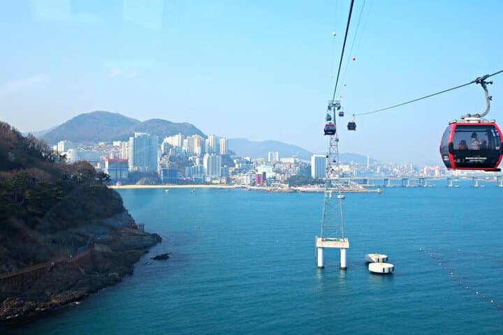 Busan Highlights: Hydrangea Season, Songdo Air Cruise & Gamcheon Village Day Tour photo 3