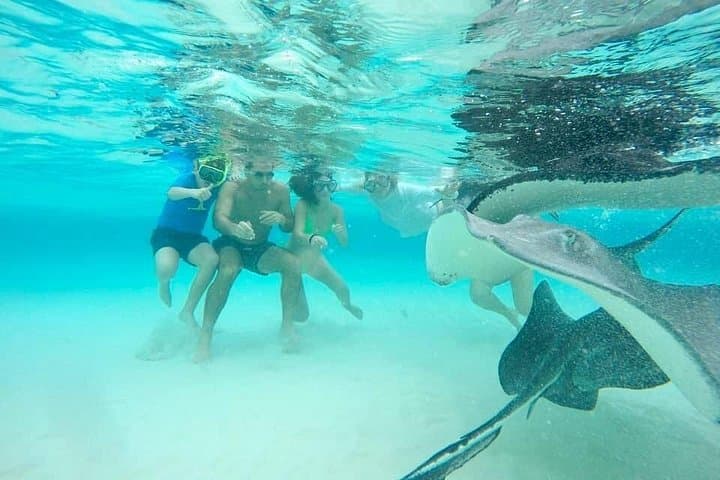 Private Stingray City Tour from West Bay — Boat Snorkel & Welcome Drink photo 2