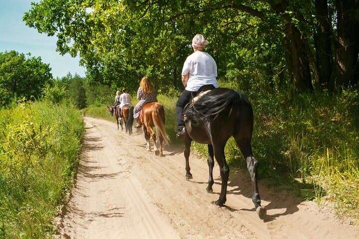 Horseback Riding and Organic Wine Tasting on Mount Vesuvius photo 5