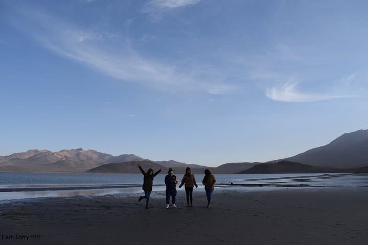 Salinas Lagoon and Mini Volcano de Lojen: Day Trip from Arequipa for Flamingos, Salt Pans & Andean Views photo 4
