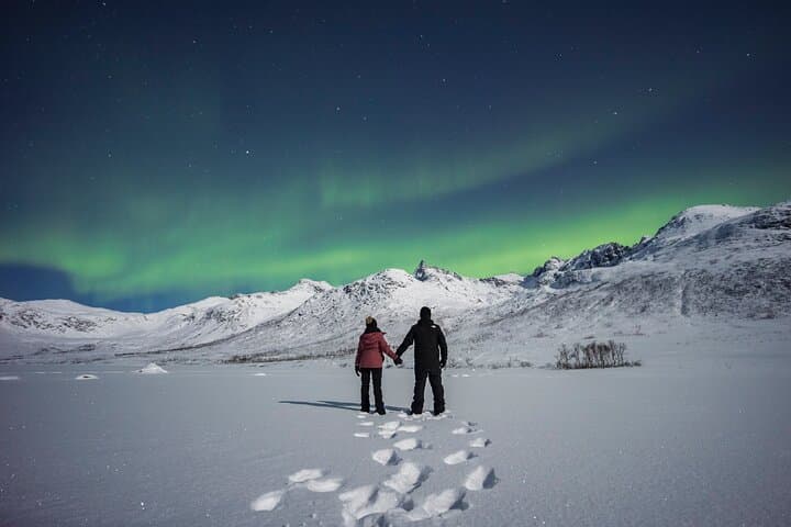 Chasing the Northern Lights from Tromsø: Small-Group Aurora Quest photo 4