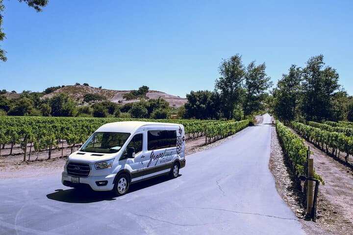 Paso Robles Wine Country: 3-Winery Tour with Picnic Lunch from San Luis Obispo photo 2