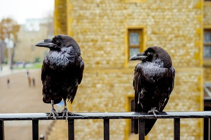 Tower of London and Jack the Ripper Ghost Walk: 4‑Hour Historic & Haunted Guided Tour photo 4