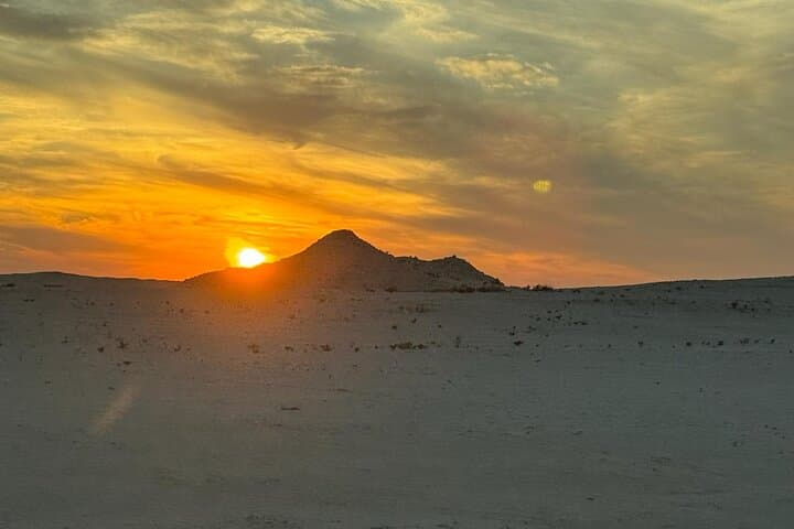 West Coast Qatar: Al Sheehaniyah Camel Racetrack & Zekreet Private Tour photo 5