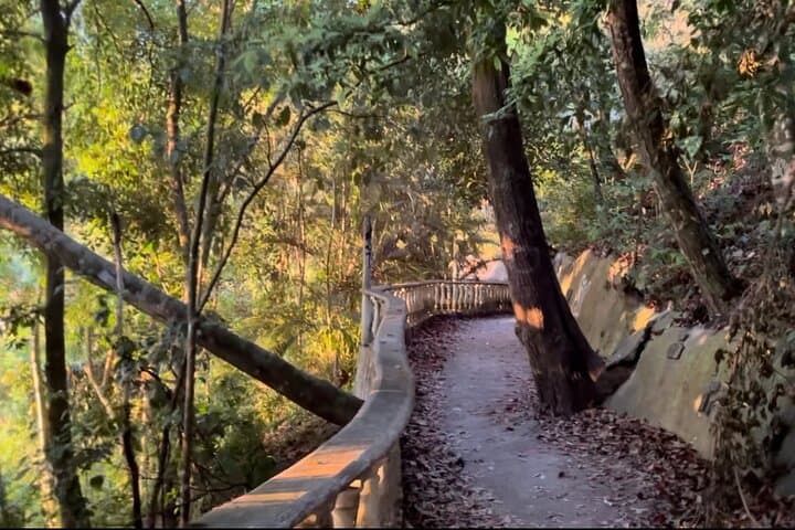 El Miro Viewpoint Guided Hike Near Jaco — Private 2‑Hour Nature Hike photo 4
